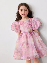 Young Girl Woven Mesh Puff Sleeve Fitted Casual Dress